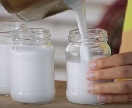 Iogurte caseiro com leite de coco e mel